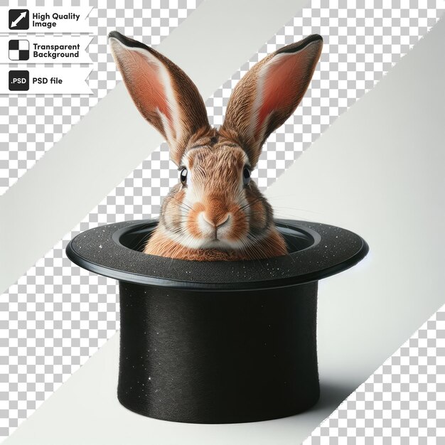 PSD psd rabbit in a hat magic focus show on transparent background with editable mask layer