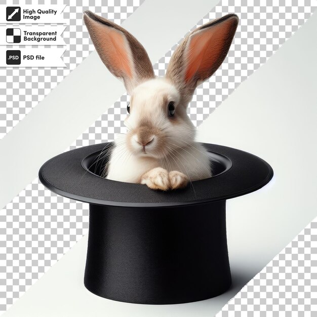 PSD psd rabbit in a hat magic focus show on transparent background with editable mask layer