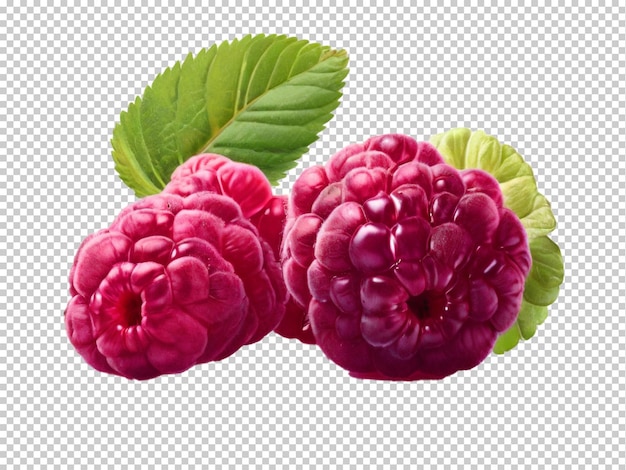 PSD psd raspberry png на прозрачном фоне