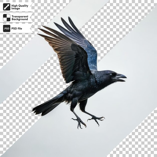 PSD psd raven on transparent background with editable mask layer