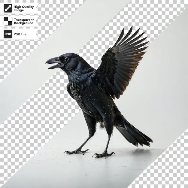 Psd raven on transparent background with editable mask layer