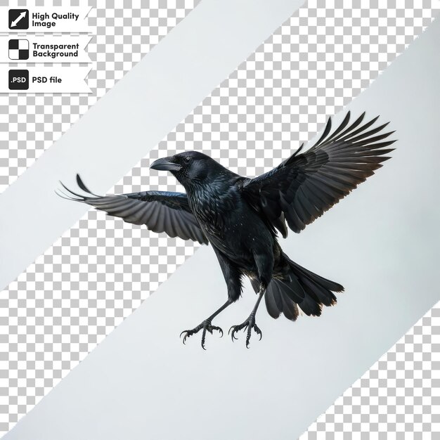 PSD psd raven on transparent background with editable mask layer