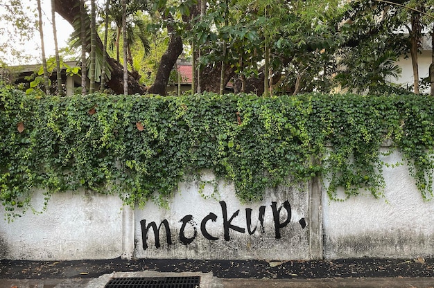 psd realistic mockup on plant wall street
