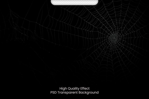 PSD psd realistic spiders cobweb with black background