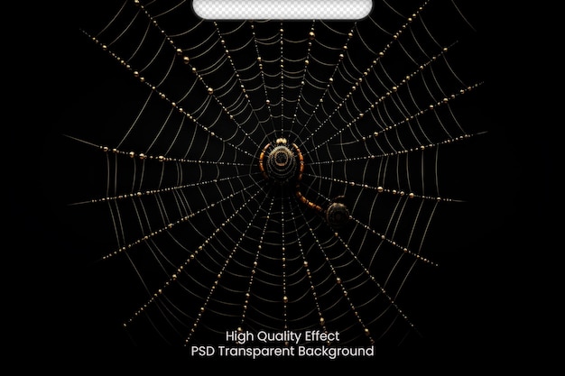 PSD psd realistic spiders cobweb with black background