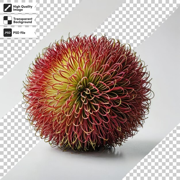 PSD psd red durian seeds durian marangang on transparent background with editable mask layer