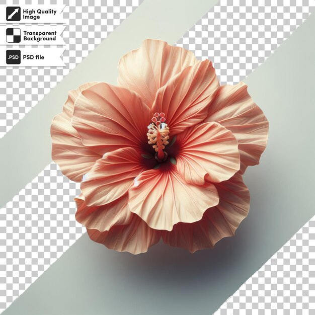 PSD psd red hawaiian hibiscus flower on transparent background with editable mask layer