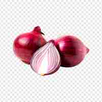 PSD psd red onion white onion vegetable garlic onion food onion magenta