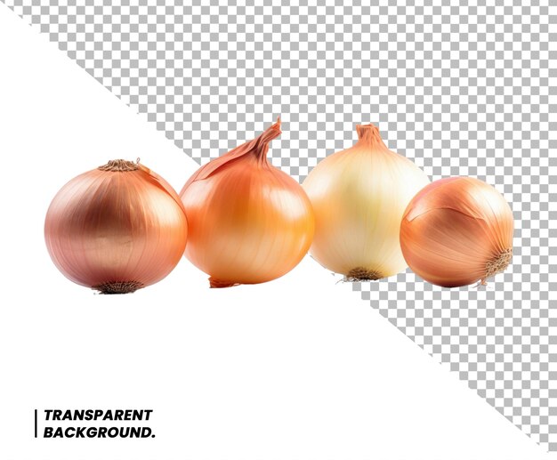 PSD psd red whole onion isolated