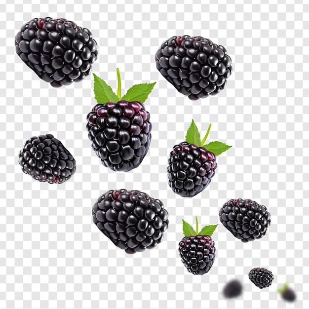 PSD psd ripe blackberries levitate on a transparent background