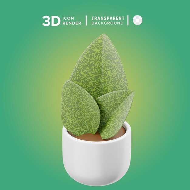 PSD psd sansevieria masoniana illustrazione 3d