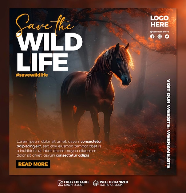 PSD Save the wild social media banner post template