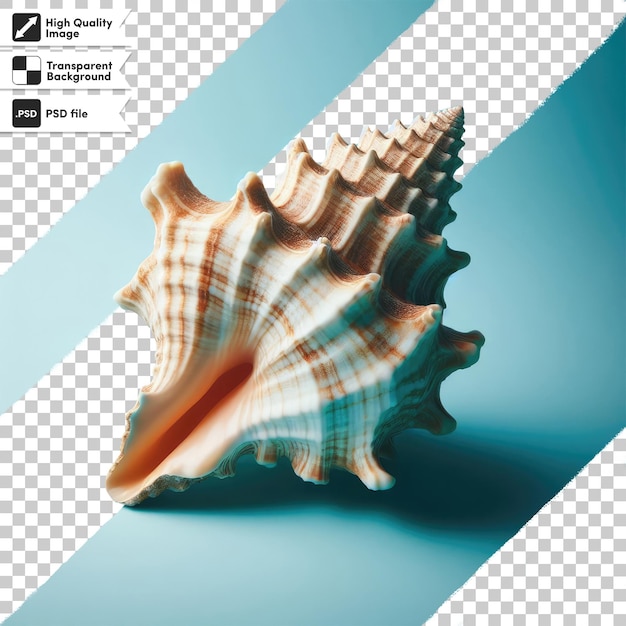 PSD psd sea shell on transparent background with editable mask layer