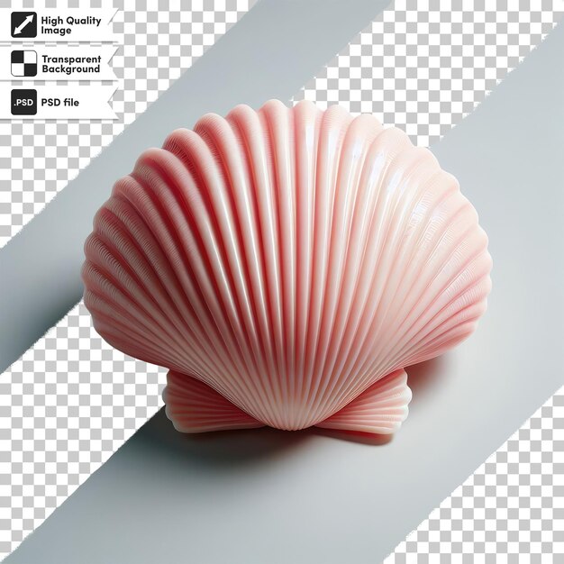 Psd seashell on transparent background