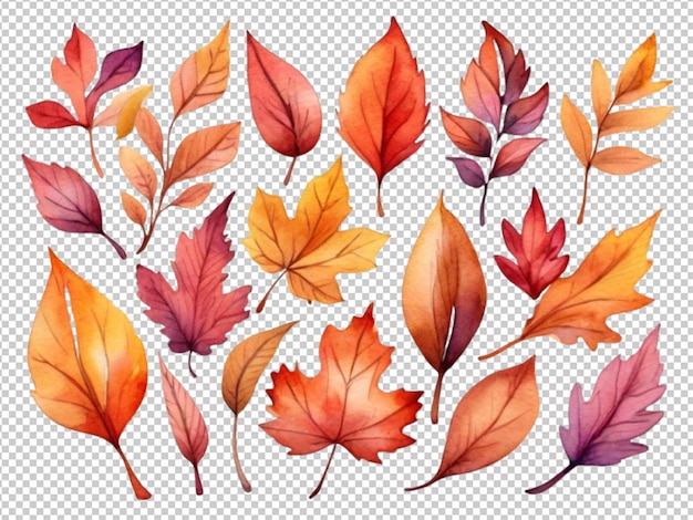 PSD psd of a set of autumn leaves watercolor collection