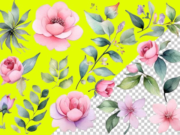 Psd of set of flowers on transparent background