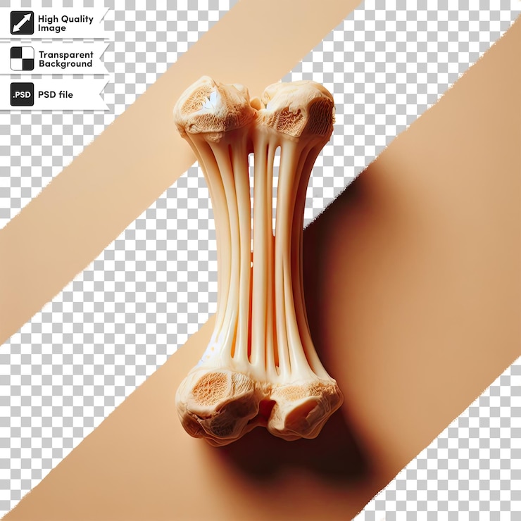 PSD psd set of bones on transparent background