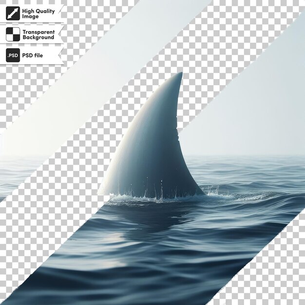 Psd shark fin in water on transparent background with editable mask layer