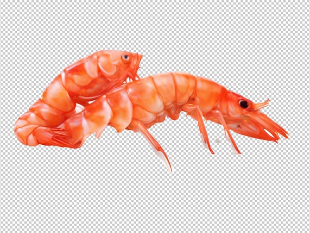 PSD 透明な背景のpsd shrimp png