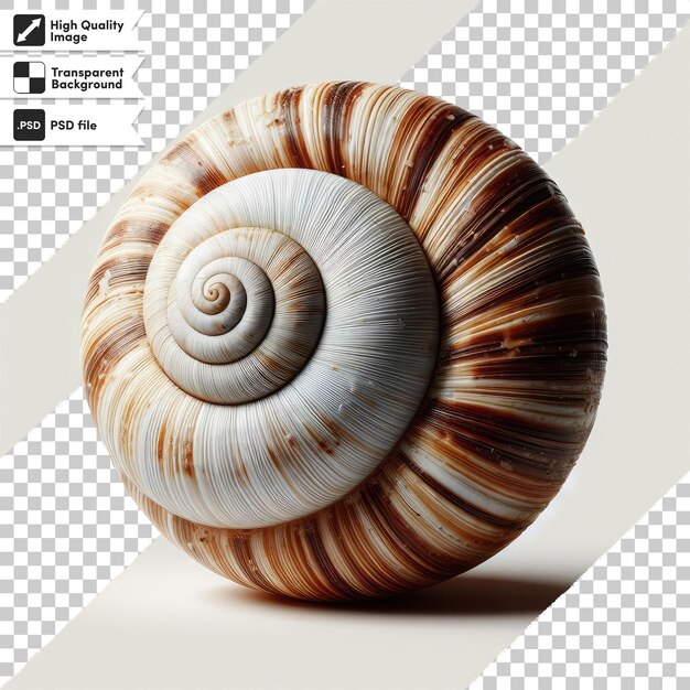 PSD psd snail on transparent background with editable mask layer