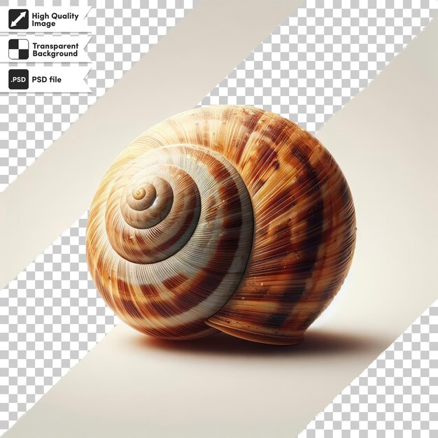 PSD psd snail on transparent background with editable mask layer