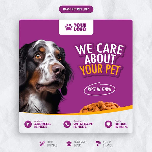 PSD psd a social media post pet shop