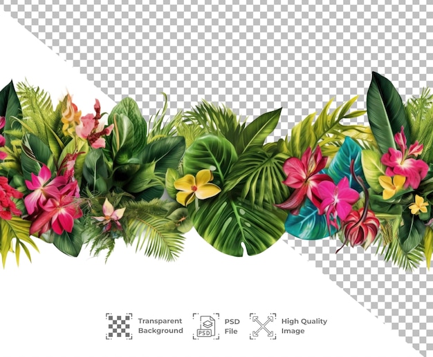 PSD psd tropical leaves isolated