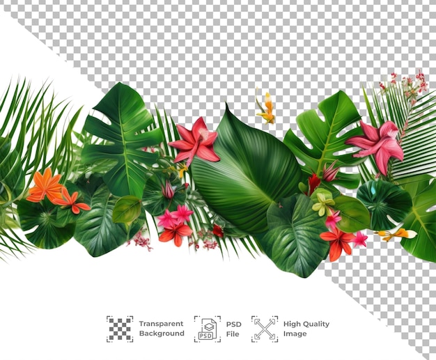 PSD psd tropical leaves isolated