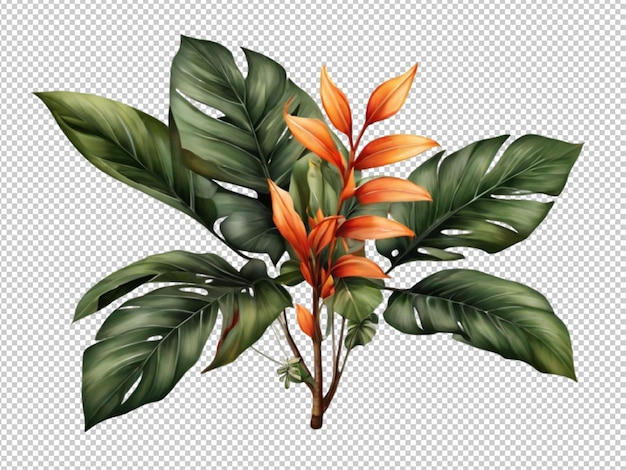 Psd di una pianta tropicale su sfondo trasparente