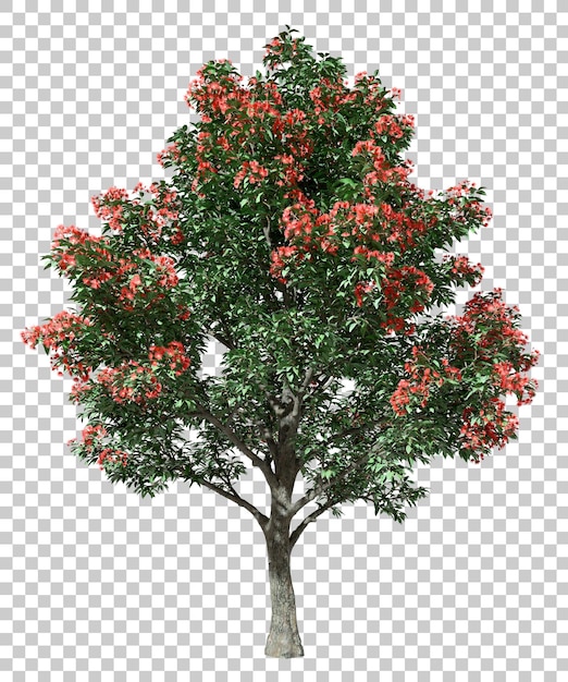 PSD Tropics boombladeren met rode bloemrijke bloeiende groei 3d render