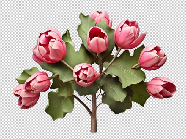 PSD psd of a tulip tree on transparent background