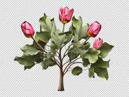 PSD psd of a tulip tree on transparent background