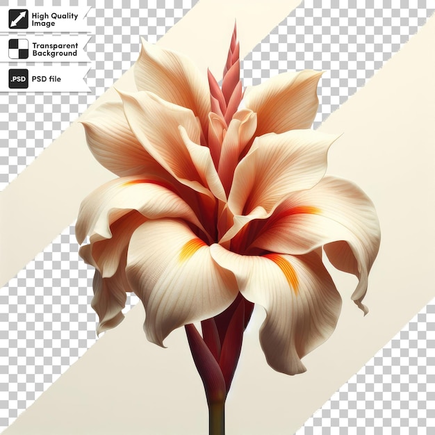 Psd uncommon peony with twisted petals on transparent background with editable mask layer