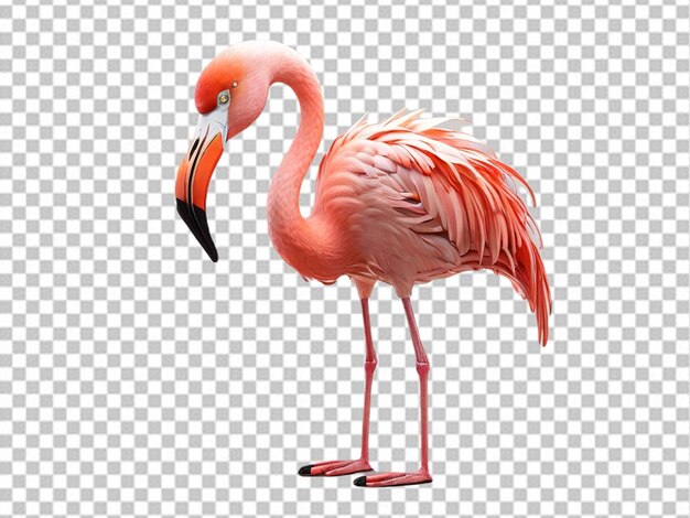 Psd van een 3d flamingo vogel