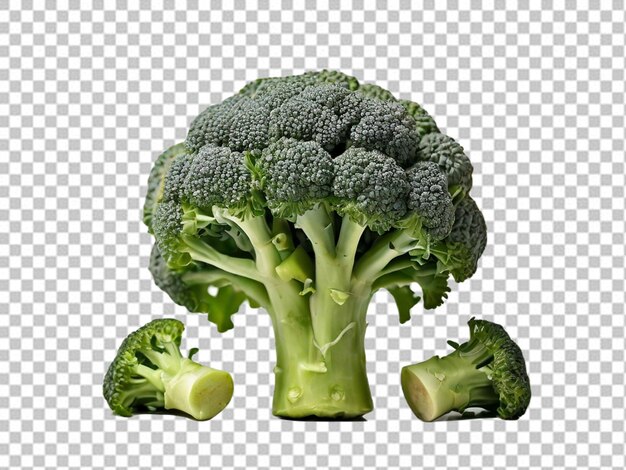 PSD psd van een broccoli