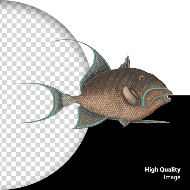 Psd vis waterverf illustratie geïsoleerd op een doorzichtige achtergrond