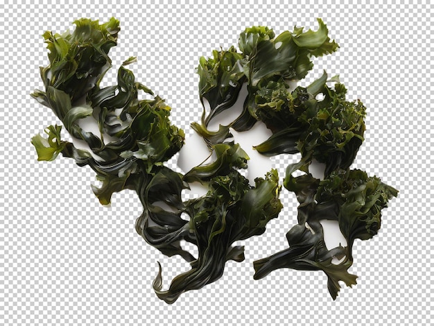 Psd Wakame Seaweed Png Na Przezroczystym Tle