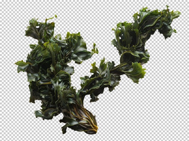 Psd wakame seaweed png op een doorzichtige achtergrond