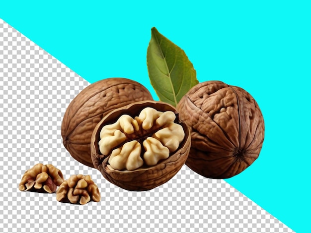 Psd of a walnut fruit