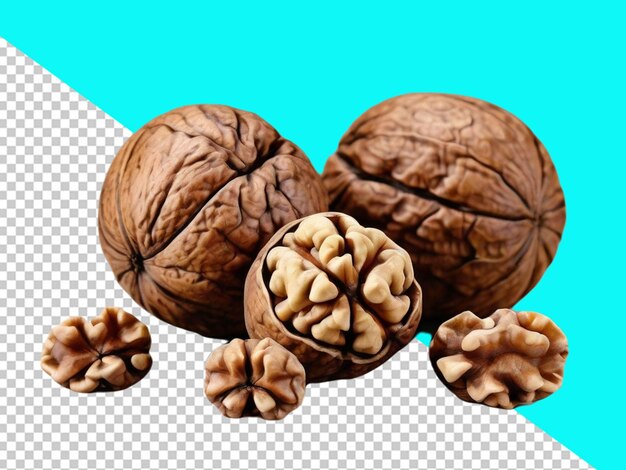 Psd of a walnut fruit