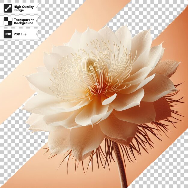 PSD fiore di loto bianco psd su sfondo trasparente