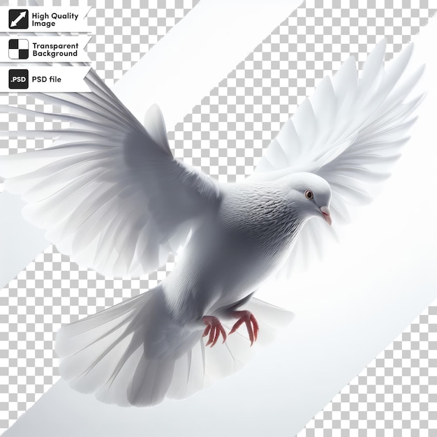 PSD psd white pigeon on transparent background