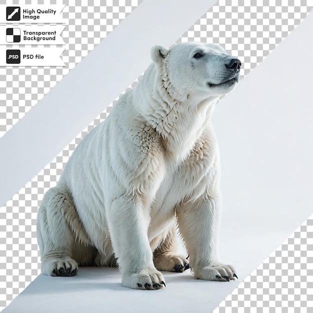 PSD psd white polar bear on transparent background with editable mask layer
