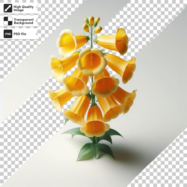 Psd yellow bellflower campanula thyrsoides op doorzichtige achtergrond met bewerkbare maskerlaag