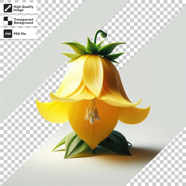 PSD psd yellow bellflower campanula thyrsoides on transparent background with editable mask layer