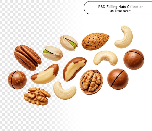 PSD Zbiór orzechów spadających cashew, orzech laskowy, migdał, orzech brazylijski, orzech włoski, orzeszki ziemne na przejrzystym PNG
