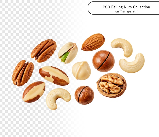 PSD Zbiór orzechów spadających cashew, orzech laskowy, migdał, orzech brazylijski, orzech włoski, orzeszki ziemne na przejrzystym PNG