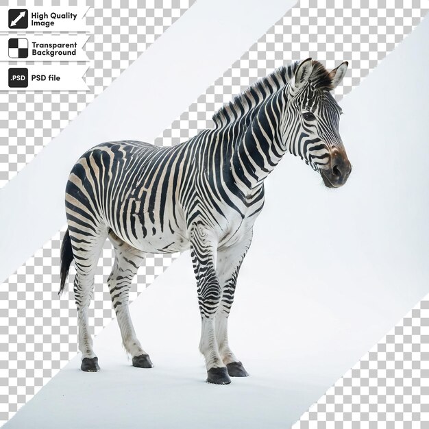 PSD psd zebra on transparent background with editable mask layer