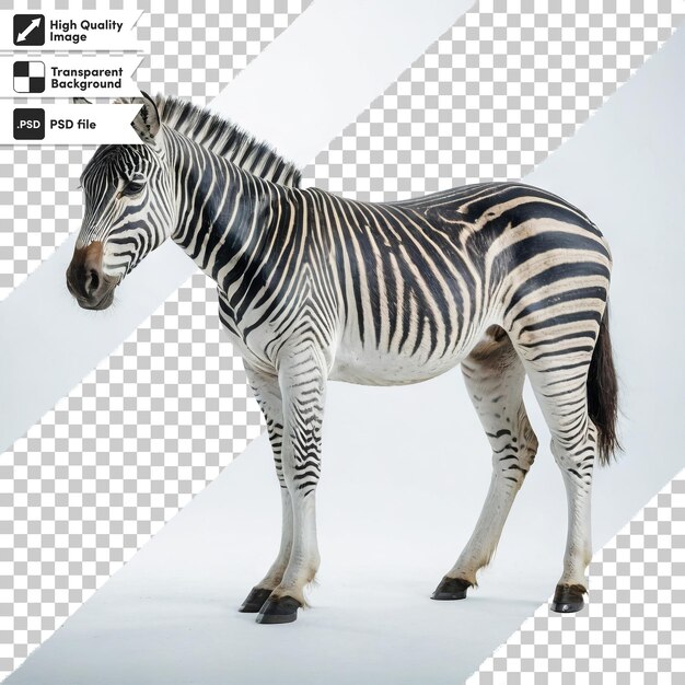 PSD psd zebra on transparent background with editable mask layer