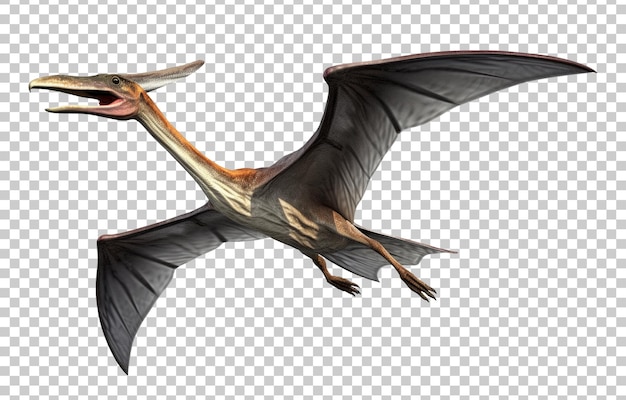 PSD pterodactyl flying concept geïsoleerd op transparante achtergrond